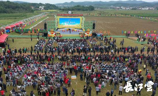 9月21日,咸寧市咸安區(qū)高橋蘿卜小鎮(zhèn)百畝草地上舉行了“慶豐收·迎小康”第三屆中國農(nóng)民豐收節(jié)湖北分會(huì)場咸寧主會(huì)場慶祝活動(dòng),全市各界農(nóng)民代表相聚白水畈的美麗田野,分享豐收的喜悅,慶祝屬于自己的節(jié)日。 開幕式上舉行了精彩的文藝演出,演出在舞蹈《慶豐收》中拉開序幕,歌舞《錦繡小康》呈現(xiàn)出咸寧各地欣欣向榮、脫貧致富奔小康的幸福場景。網(wǎng)紅歌曲《你莫走》、舞蹈《慶豐收》、歌舞《一起幸?!?,一個(gè)個(gè)精彩的節(jié)目輪番上演,博得現(xiàn)場觀眾陣陣掌聲。 開幕活動(dòng)現(xiàn)場還舉行了頒獎(jiǎng)儀式,第二屆“美麗中國、鄉(xiāng)村振興”全國農(nóng)民詩歌邀請賽獲獎(jiǎng)組織和個(gè)人,全市農(nóng)村人居環(huán)境整治示范村,省級農(nóng)業(yè)產(chǎn)業(yè)化工作先進(jìn)集體和先進(jìn)個(gè)人上臺(tái)領(lǐng)獎(jiǎng)?,F(xiàn)場還舉行了鄂南民俗展演、農(nóng)民趣味運(yùn)動(dòng)會(huì)、扶貧農(nóng)產(chǎn)品以及咸寧特色農(nóng)產(chǎn)品展銷等豐富多彩的活動(dòng)?;鸨娜藲?,讓在場的展銷商賺得是盆滿缽滿。 咸寧市咸安區(qū)鑫達(dá)種養(yǎng)專業(yè)合作社理事長萬永輝:今年家里的香菇都豐收了,一上午我就賣出了一萬多元,我們合作社采取的是“合作社+農(nóng)戶”的模式,也帶領(lǐng)了20多戶貧困戶脫貧了。 咸寧市致遠(yuǎn)種植專業(yè)合作社理事長 吳海兵:我們今年是真真正正地豐收了,我們生姜的價(jià)格足足翻了三倍,跟著我們一起的貧困戶也平均增收了3000元左右。 而這一系列的活動(dòng),都是在蘿卜小鎮(zhèn)的草地上進(jìn)行的,草地作舞臺(tái)、草地搞展示、草地上比賽等等,這數(shù)百畝草地,此時(shí)此刻成為了咸寧農(nóng)民們慶祝豐收的歡樂場。 咸寧市咸安區(qū)高橋鎮(zhèn)黨委書記王順榮:今年的湖北分會(huì)場在我們高橋蘿卜小鎮(zhèn)舉辦,我感到很榮幸,我們從一顆蘿卜做起,以白水畈蘿卜為核心品牌,打造白水畈"我家菜園"蔬菜基地及旅游觀光體驗(yàn)中心,發(fā)展綠色農(nóng)業(yè)、生態(tài)旅游,增加產(chǎn)業(yè)開發(fā)的綜合效益,創(chuàng)建蘿卜特色小鎮(zhèn),走出了一條農(nóng)業(yè)、旅游相結(jié)合的新路,推動(dòng)高橋鎮(zhèn)一二三產(chǎn)業(yè)融合發(fā)展。 鄉(xiāng)親們說,這在以前是想都不敢想的,高橋鎮(zhèn)蝸居山里,太偏遠(yuǎn)又沒有資源優(yōu)勢,想發(fā)展太難。而現(xiàn)在這一切的悄然改變,得益于2017年10月13日,咸安區(qū)政府與鄂旅投公司正式簽署的《131軍旅小鎮(zhèn)+白水畈田園綜合體旅游開發(fā)投資合作協(xié)議》,鄂旅投公司將投資30億元,在高橋鎮(zhèn)打造131軍旅小鎮(zhèn)和白水畈田園綜合體旅游開發(fā)項(xiàng)目。項(xiàng)目共分為131軍旅小鎮(zhèn)、白水畈美麗鄉(xiāng)村、特色農(nóng)業(yè)示范、旅游綜合體四大板塊,打造旅游綜合服務(wù)區(qū)、澄水洞軍事展示區(qū)、青少年國防教育基地、鐵血軍事樂園區(qū)、戰(zhàn)狼訓(xùn)練基地、美麗村灣民俗區(qū)、四季瓜果示范區(qū)、農(nóng)耕文化展示區(qū)、特色商業(yè)街區(qū)和康養(yǎng)度假區(qū)十大功能區(qū)。 咸寧市咸安區(qū)高橋鎮(zhèn)黨委書記王順榮:我們引進(jìn)鄂旅投,打造蘿卜小鎮(zhèn),目前建設(shè)有蘿卜小鎮(zhèn)科普館、蘿卜鄉(xiāng)學(xué)院、蘿卜酒店等休閑旅游項(xiàng)目,十一馬上到了,也歡迎廣大游客前來游玩。 今年是決勝全面建成小康社會(huì)、決戰(zhàn)脫貧攻堅(jiān)之年。咸寧市本著"儉樸、祥和、歡樂,農(nóng)民參與,農(nóng)民唱主角"的辦節(jié)思路,而此屆中國農(nóng)民豐收節(jié)辦節(jié)費(fèi)用也是倍減。 農(nóng)為邦本,本固邦寧。今年,面對重大疫情和特大洪澇災(zāi)害,咸寧市扎實(shí)做好“六穩(wěn)”工作、落實(shí)“六保”任務(wù),克服重重困難,推動(dòng)農(nóng)業(yè)實(shí)現(xiàn)持續(xù)平穩(wěn)發(fā)展,形成了茶葉、油茶、中藥材等12個(gè)特色農(nóng)業(yè)主導(dǎo)產(chǎn)業(yè),“全國一村一品示范村鎮(zhèn)”發(fā)展到14家,國家級、省級農(nóng)業(yè)產(chǎn)業(yè)化龍頭企業(yè)達(dá)到55家。尤其是糧食產(chǎn)量預(yù)計(jì)達(dá)118萬噸、蔬菜產(chǎn)量預(yù)計(jì)達(dá)260萬噸,生豬預(yù)計(jì)出欄183.52萬頭,農(nóng)業(yè)生產(chǎn)再獲豐收,糧食安全有效保障,讓農(nóng)民的腰包更鼓、家園更美、生活更甜,為加快實(shí)施鄉(xiāng)村振興戰(zhàn)略、推動(dòng)咸寧高質(zhì)量發(fā)展提供堅(jiān)實(shí)保障。
