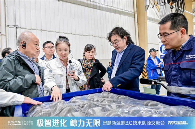 共鑒新鯨彩6.jpg